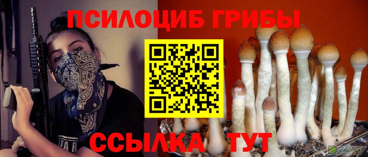 Галлюциногенные грибы MAGIC MUSHROOMS  Вход с VPN  Зеленокумск 
